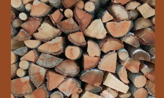 “VENGON SU COME TRONCHI…!” ADOLESCENZA – MASCHI E FEMMINE