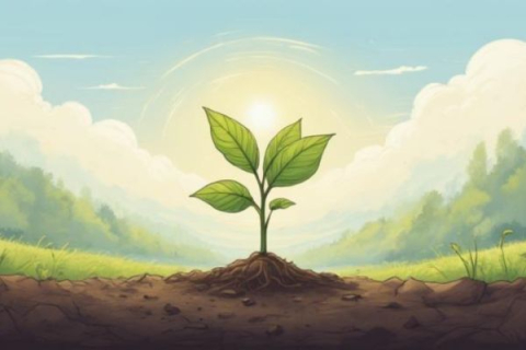 POTENZIALE DI SVILUPPO NELL’ESSERE UMANO POTENZIALE DI SVILUPPO NELL’ESSERE UMANO