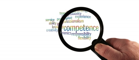 Modello delle competenze